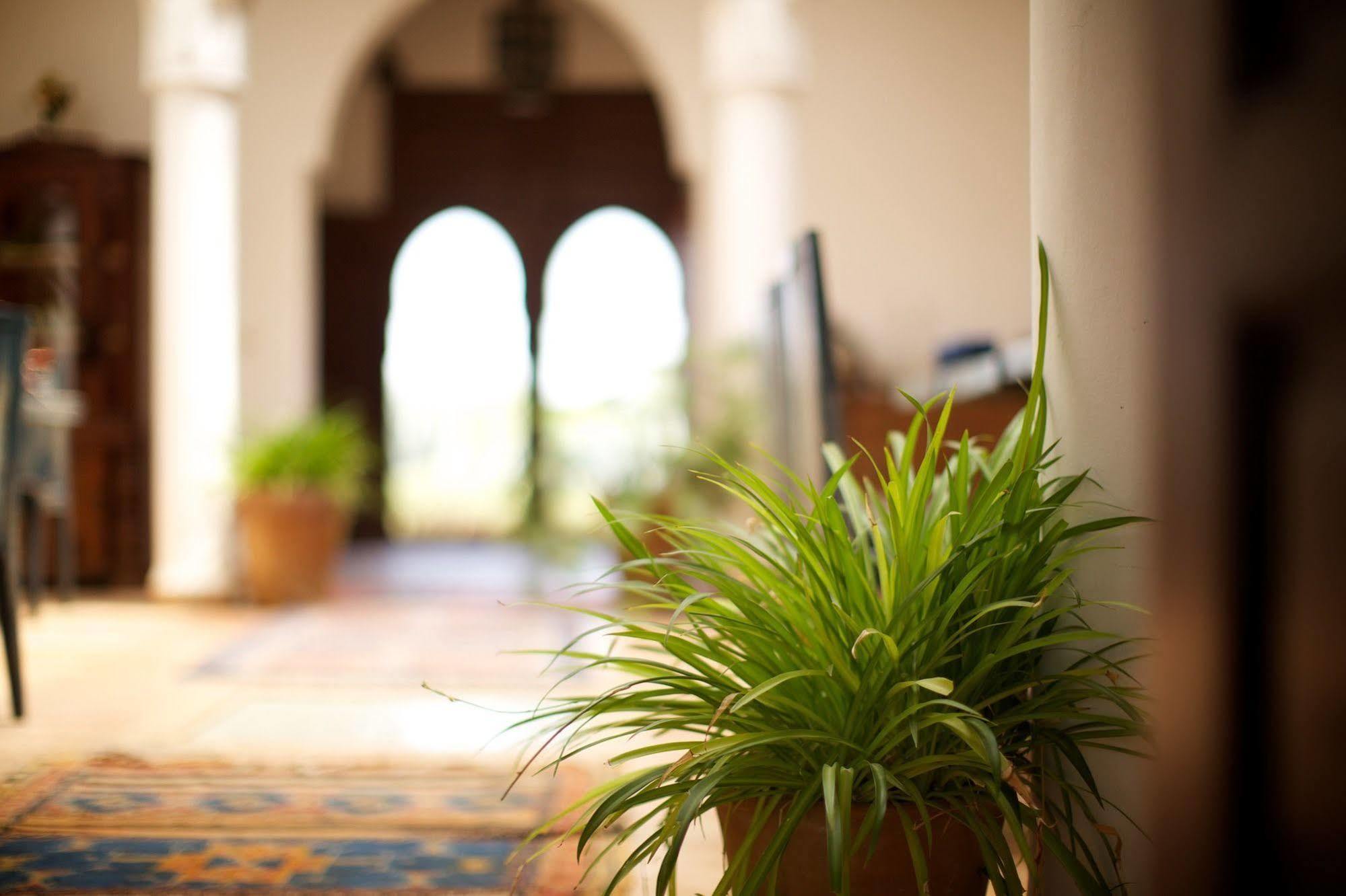 Riad Couleur Sable Sidi Abdallah Ghiat Exterior photo